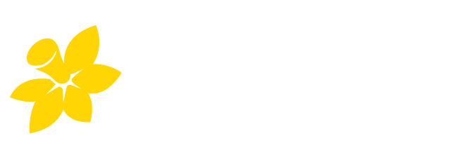 Marilyn Jetty Swim